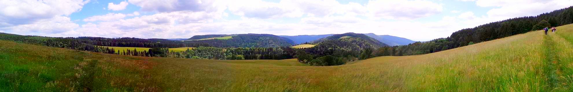 Panoramablick über die Schwarzwaldhöhen